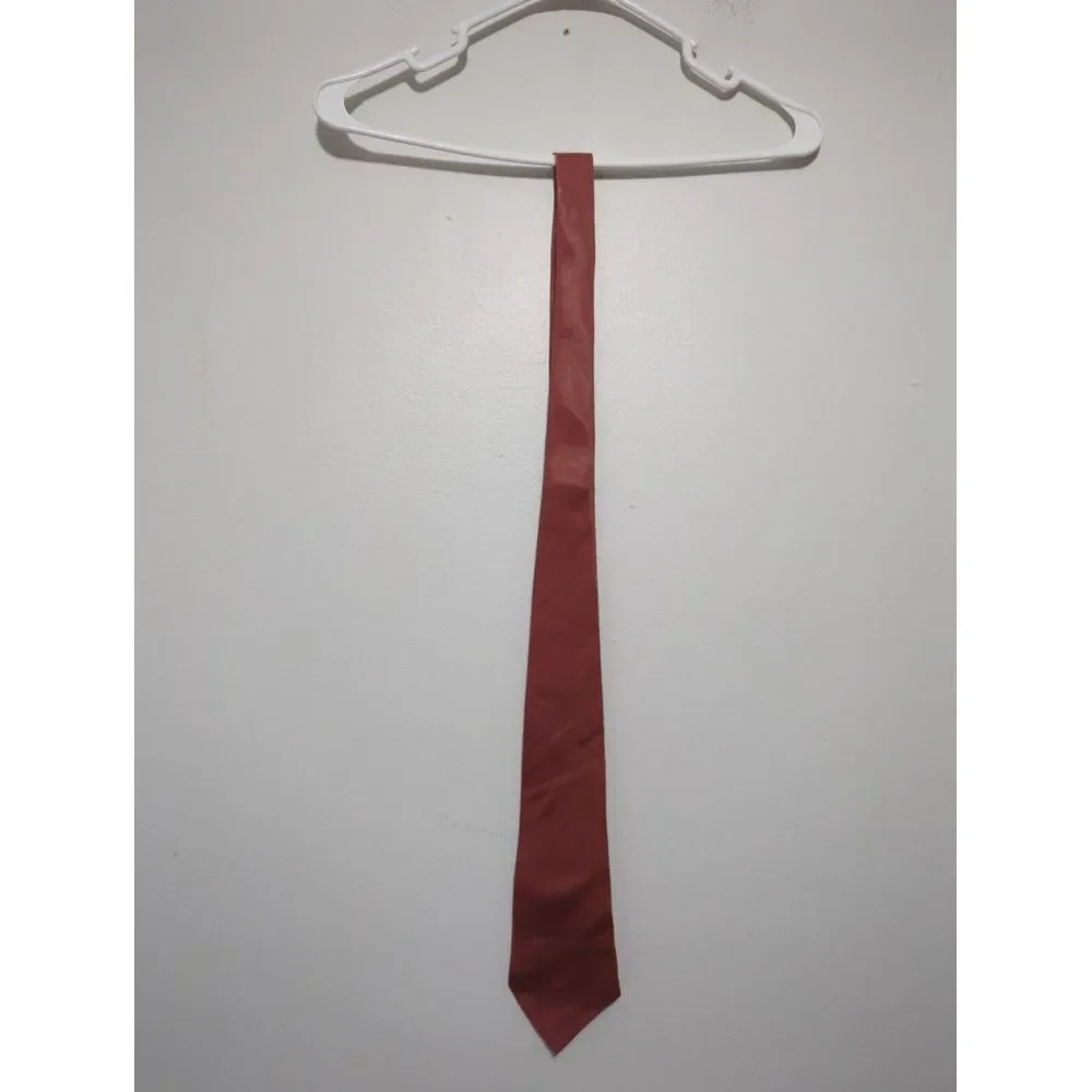 Gino Fabrini Mens Rust Orange Shimmer Solid‎ Necktie Rayon Blend Formal Tie